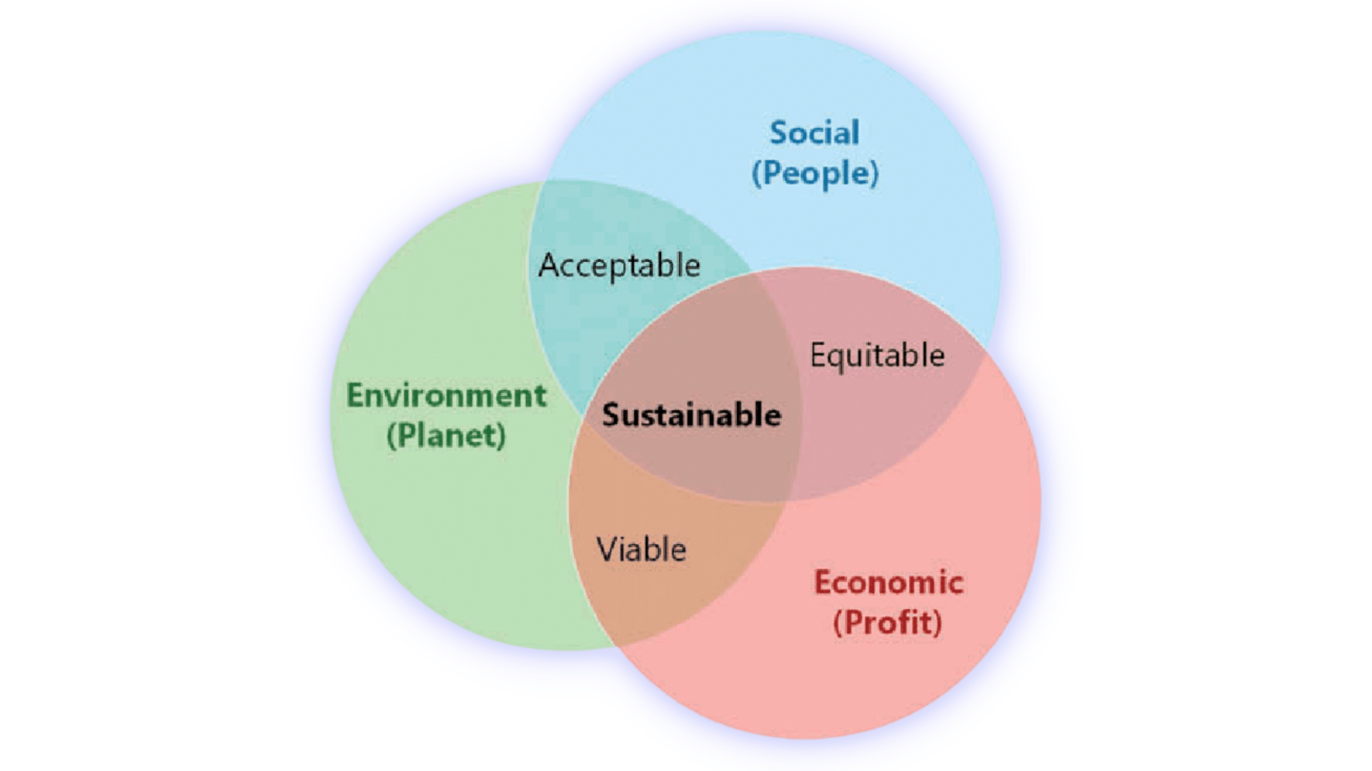 The importance of sustainability for a business